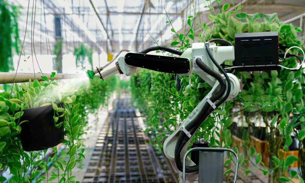The Role of AI in Agriculture: Improving Yield and Sustainability