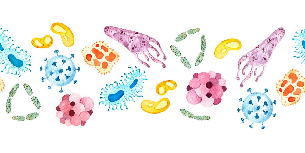 Unlocking the Secret to Optimal Health: The Incredible Power of Gut Bacteria