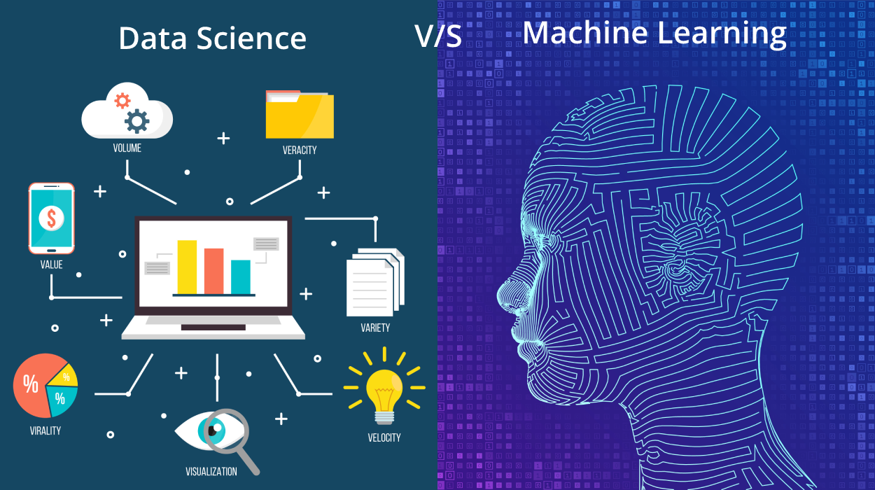 Data Science vs. Machine Learning: What's the Difference?